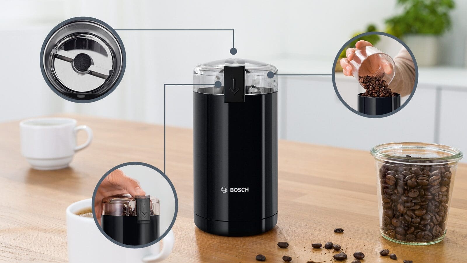 Bosch - TSM6A013B 180W 75g Coffee Grinder - Image 2